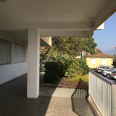 Cappella אז'אקסיו